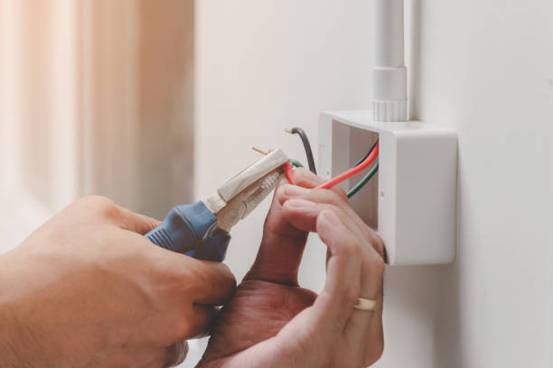 Best Electrical Panel Upgrades  in Wesley Chapel, FL